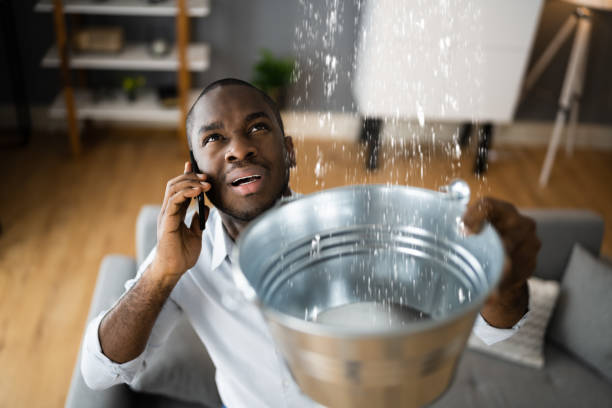 Best Ceiling water damage repair  in South Venice, FL