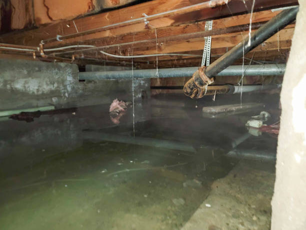 Best Commercial water damage restoration  in South Venice, FL