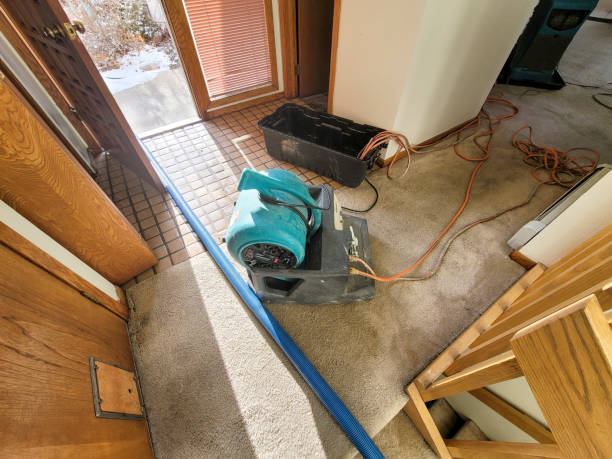 Best Commercial water damage restoration  in South Venice, FL