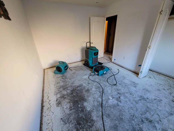 Best Water damage restoration near me  in South Venice, FL