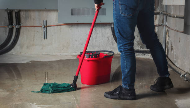 Best Water damage contractors near me  in South Venice, FL