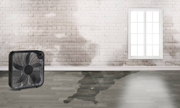 Best Fire Damage Restoration  in South Venice, FL