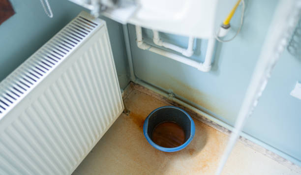 Best Local water damage restoration  in South Venice, FL