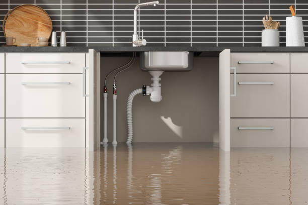 Best Flood damage cleanup  in South Venice, FL