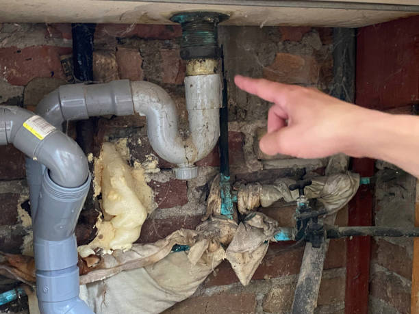 Best Flood damage cleanup  in South Venice, FL