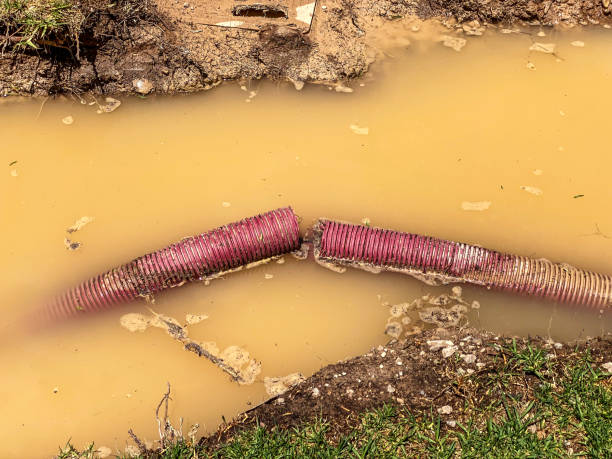 Best Basement water damage restoration  in South Venice, FL