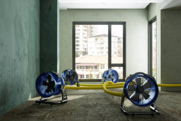 Best Water damage restoration company  in South Venice, FL