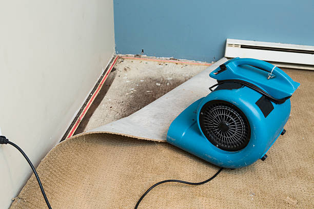 Best Professional water damage repair  in South Venice, FL