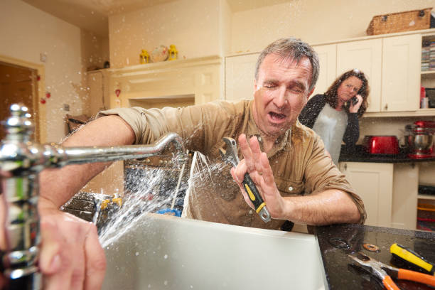 Best Water damage restoration near me  in South Venice, FL